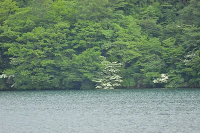 DSC_3730 (Large).JPG